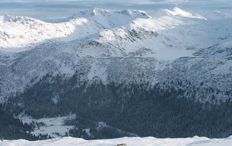 “Mountains and People” Association’s snowshoe hike in Rila 