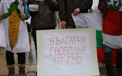 Information campaign against GMO release in Bulgaria – 31.01.2010, Plovdiv