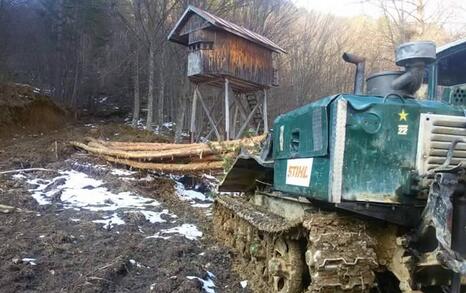 Водят ли сечите в горите до безводие и наводнения?