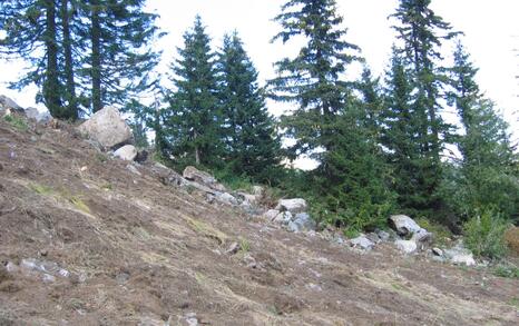 The stony rivers on Vitosha destroyed