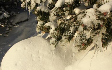 Rila's frozen lakes