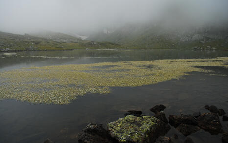 National hike 'I love rila, I walk' - 12-16 August 2009