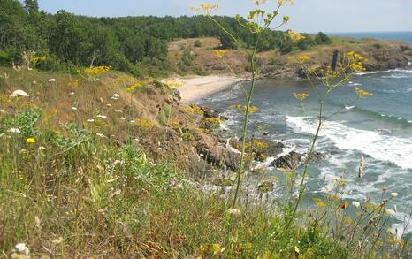 Nature park 'Strandzha', Bulgaria