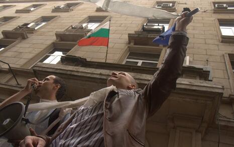 Action for Strandja park in front of the Ministry building