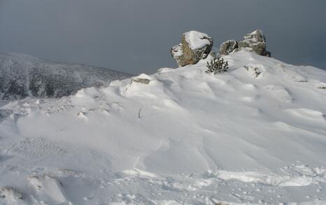 “Mountains and People” Association’s snowshoe hike in Rila 