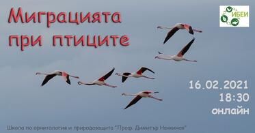 Школата по орнотология и природозащита на ИБЕИ-БАН продължава онлайн!