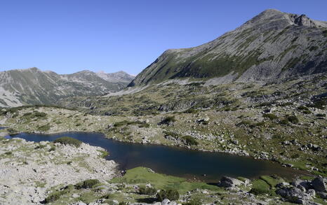 Views from Pirin National Park