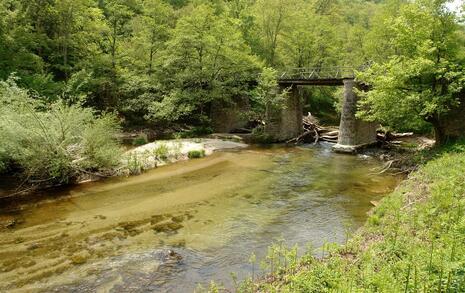 Nature park 'Strandzha', Bulgaria