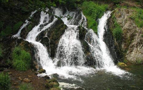 Nature park 'Strandzha', Bulgaria