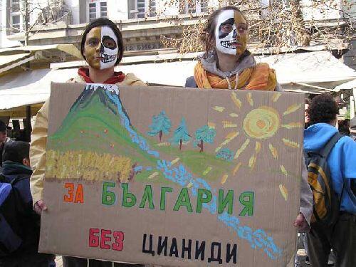 Мъртва риба в река Луда Яна