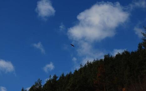 The beauty of Eastern Rhodopes