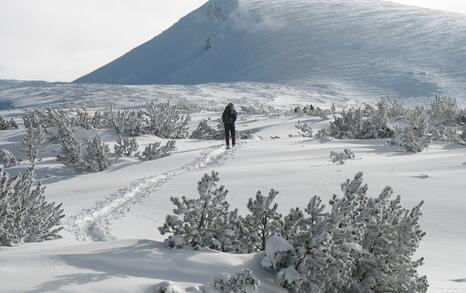 “Mountains and People” Association’s snowshoe hike in Rila 