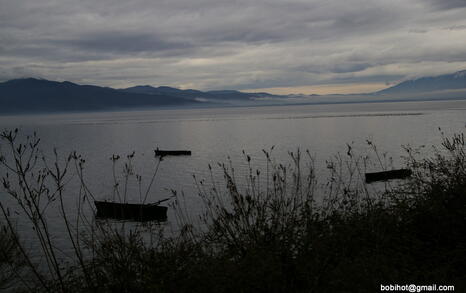 Bird watching trip to Kerkini, Greece, 19-20 December 2009