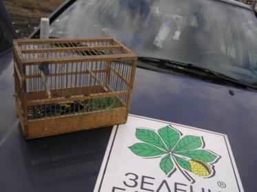 Poachers hunting songbirds were caught in Plovdiv