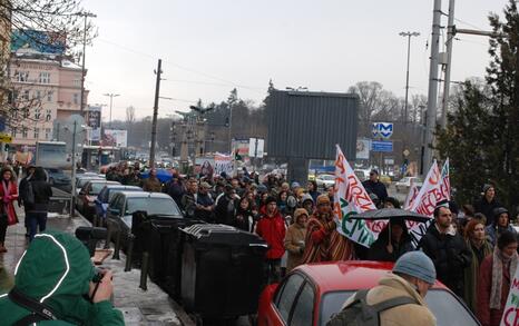 March against GMO release in Bulgaria – 31.01.2010, Sofia