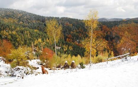 The beauty of Eastern Rhodopes