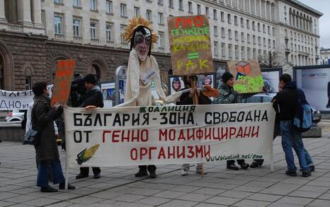 Citizens’ presence for Bulgaria as a GMOs free area, 10.12.2009