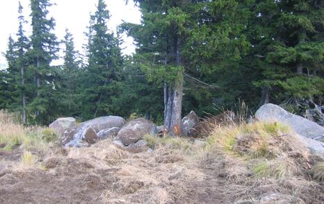 The stony rivers on Vitosha destroyed