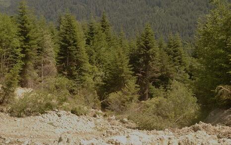 On the road to the Seven Rila Lakes