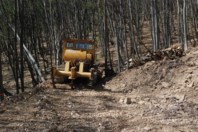  The citizens of Shipka suggest an old-growth forest to be declared protected area. The Forestry has it for cutting down in the time of the Forest week.  