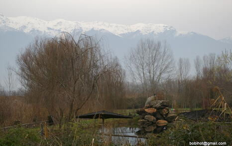 Bird watching trip to Kerkini, Greece, 19-20 December 2009