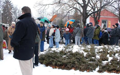 March against GMO release in Bulgaria – 31.01.2010, Sofia