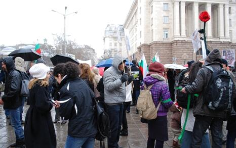 Sofia – Protest against GMO release in Bulgaria - 11.02.2010