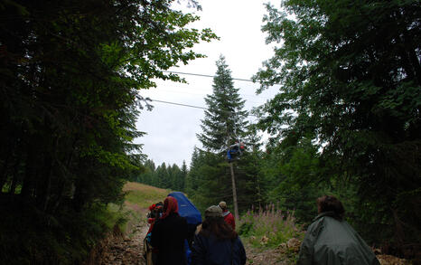 National hike 'I love rila, I walk' - 12-16 August 2009