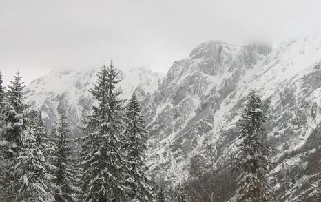 “Mountains and People” Association’s snowshoe hike in Rila 