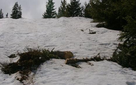 Opening ski lift Rila-Panichishte