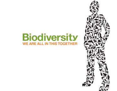 Join us on the World Biodiversity Day and the World Fish Migration Day 