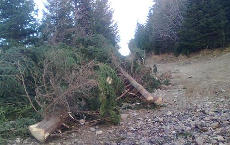 The construction of unlawful ski runs by the Seven Rila Lakes continues