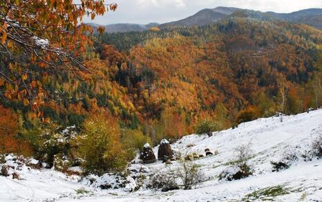 The beauty of Eastern Rhodopes