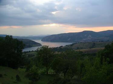  7% of the habitats in the Natura 2000 network have been determined as old-growth forests where logging is prohibited