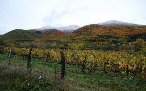 The beauty of Eastern Rhodopes