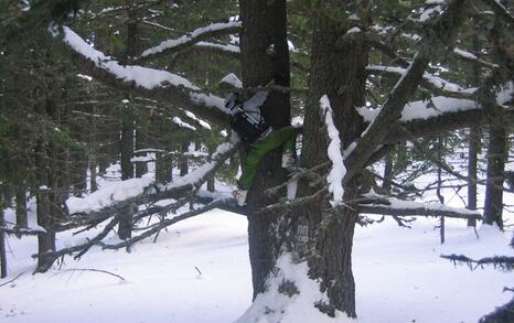 Environmentally friendly ski-tourism in Pirin National Park