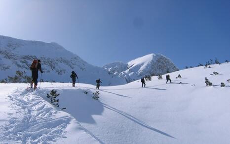 Environmentally friendly ski-tourism in Pirin National Park