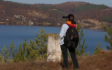 Observation of Birds at Pchelina Dam,  21 Nov. 2009