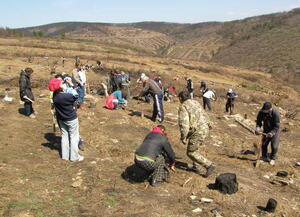 Plant Life - Dylboki village, Stara Zagora