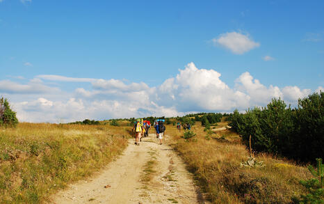 National hike 'I love rila, I walk' - 12-16 August 2009