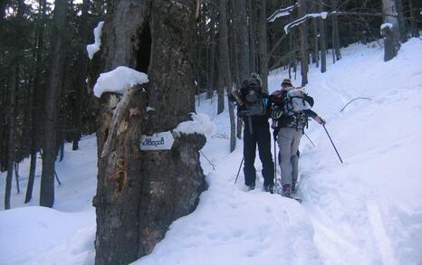 Environmentally friendly ski-tourism in Pirin National Park