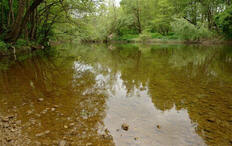 Nature park 'Strandzha', Bulgaria