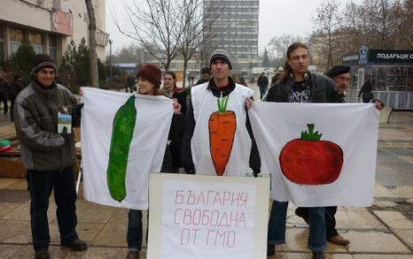 Information campaign against GMO release in Bulgaria – 31.01.2010, Plovdiv