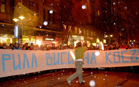 Procession for Rila and Bulgarian nature on 23 January 2008 in Sofia and Blagoevgrad