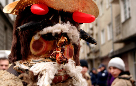 Procession for Rila and Bulgarian nature on 23 January 2008 in Sofia and Blagoevgrad