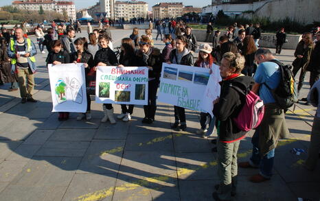 Protest for the Bulgarian forests