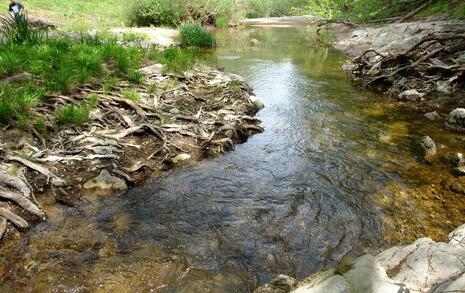 Nature park 'Strandzha', Bulgaria