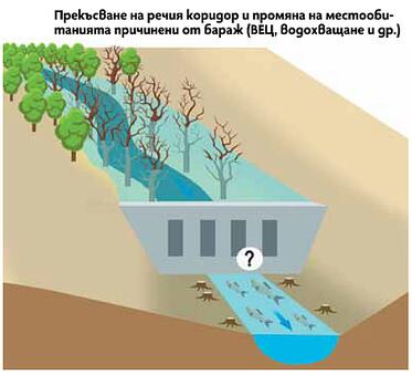 At five minutes to midnight: the Parliament may allow the ruining of Bulgarian rivers 