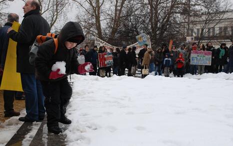 March against GMO release in Bulgaria – 31.01.2010, Sofia