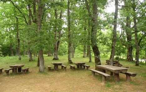 Nature park 'Strandzha', Bulgaria